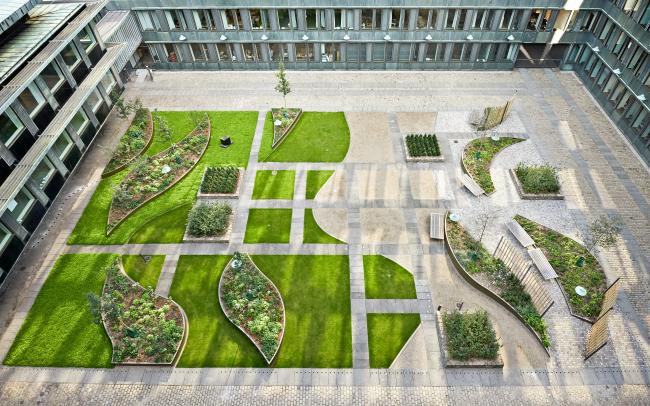 Courtyard with walking areas, lawn and plant beds with shrubs and small trees